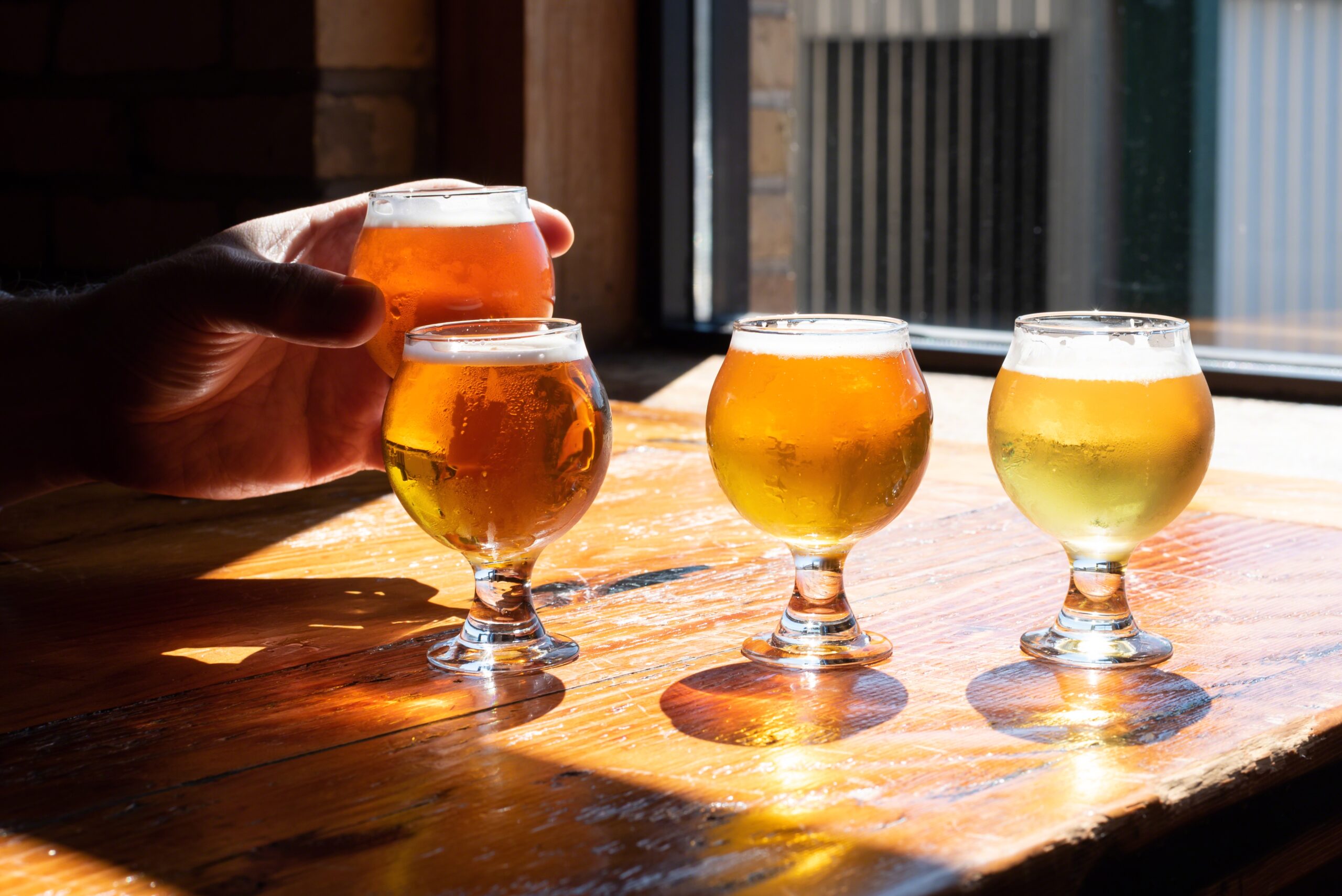 cerveza artesana en tenerife