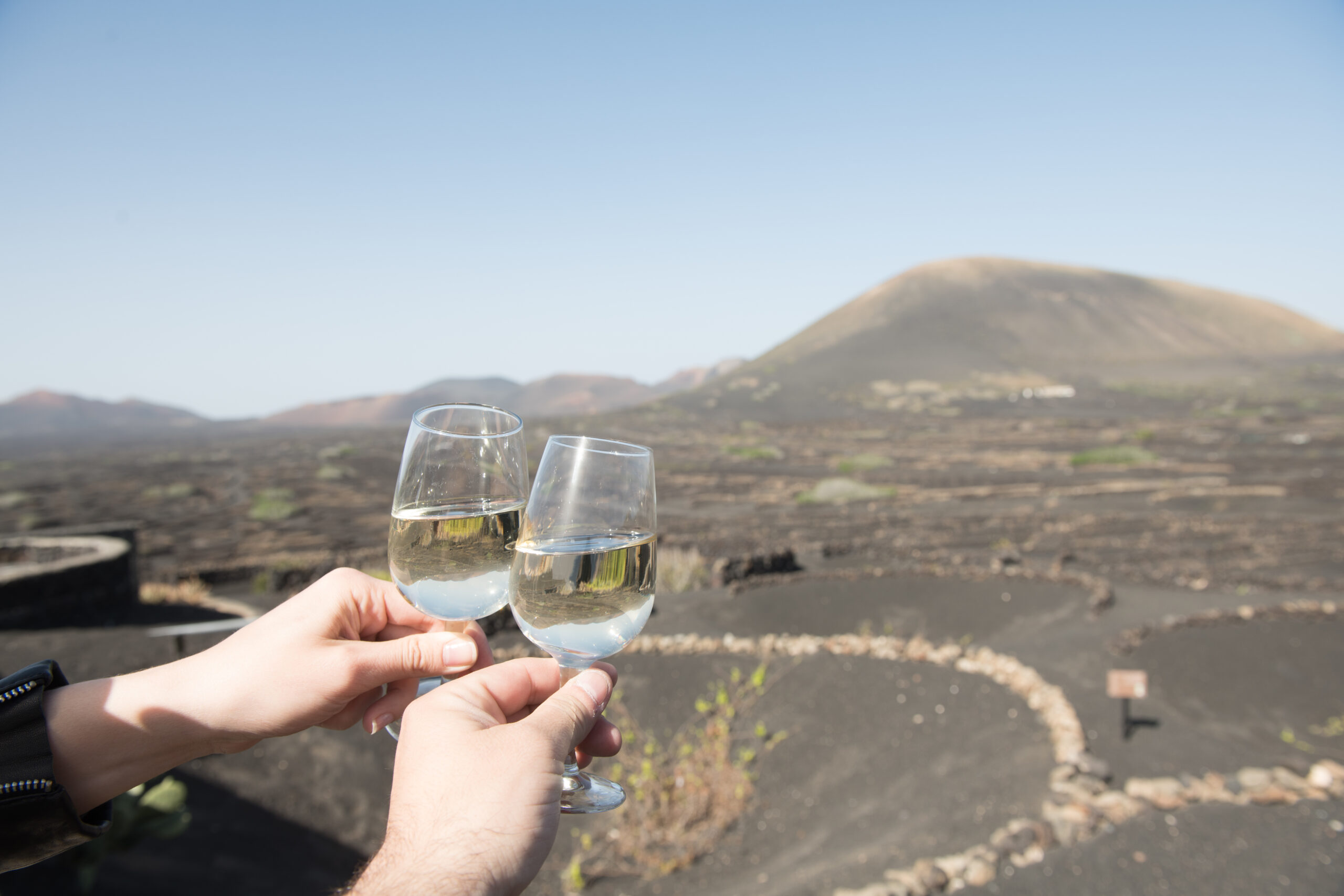 gastronomia canaria